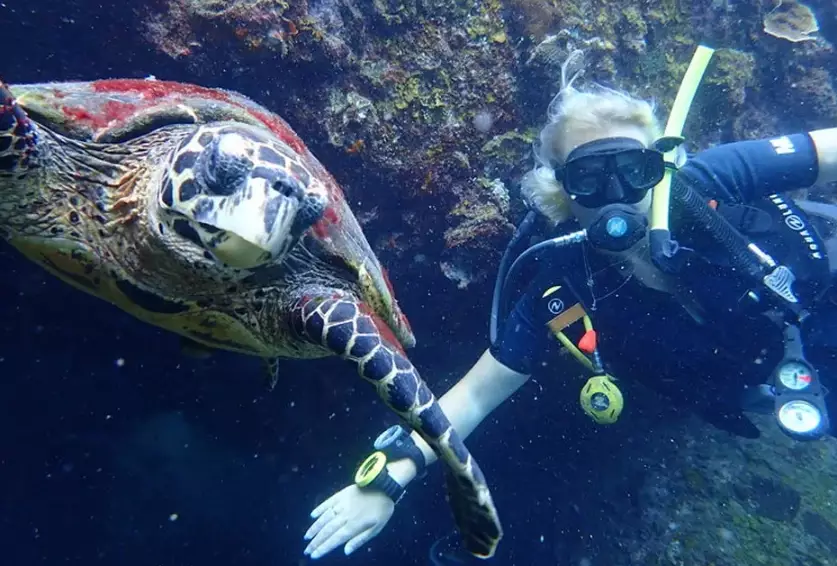 Thailand scuba diving
