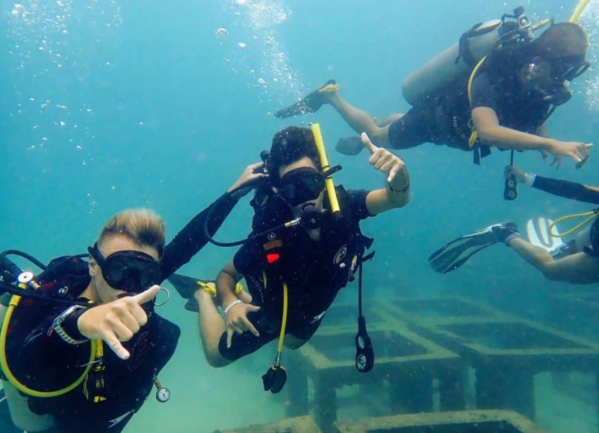 Koh Tao diving