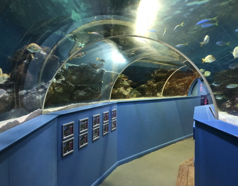 ocean tunnel aquarium planning guide