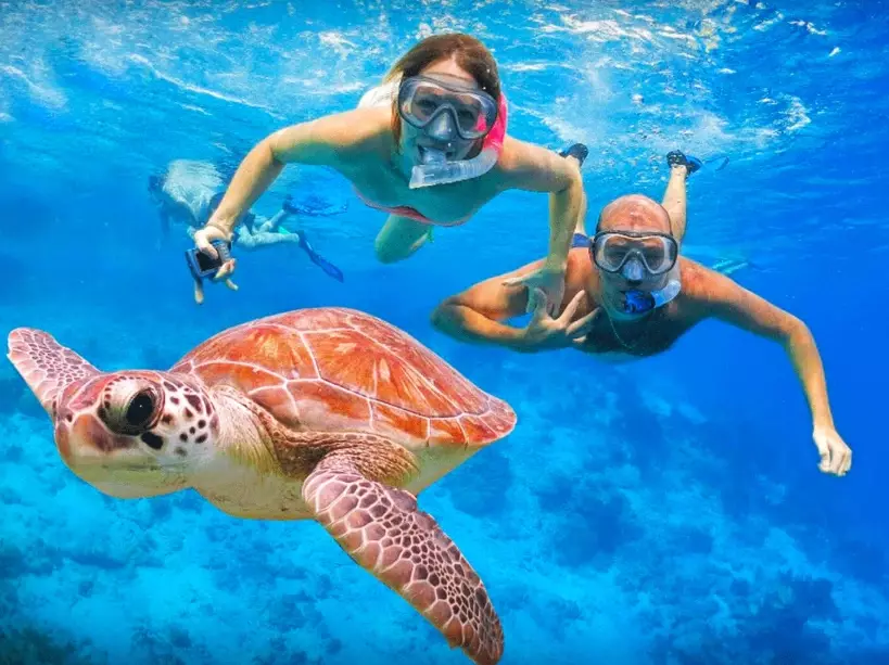 best places to swim with turtles in europe