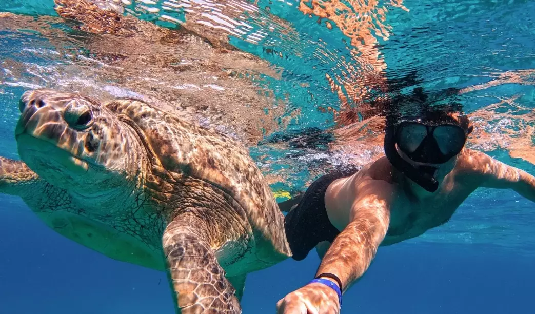 swim with turtles Europe