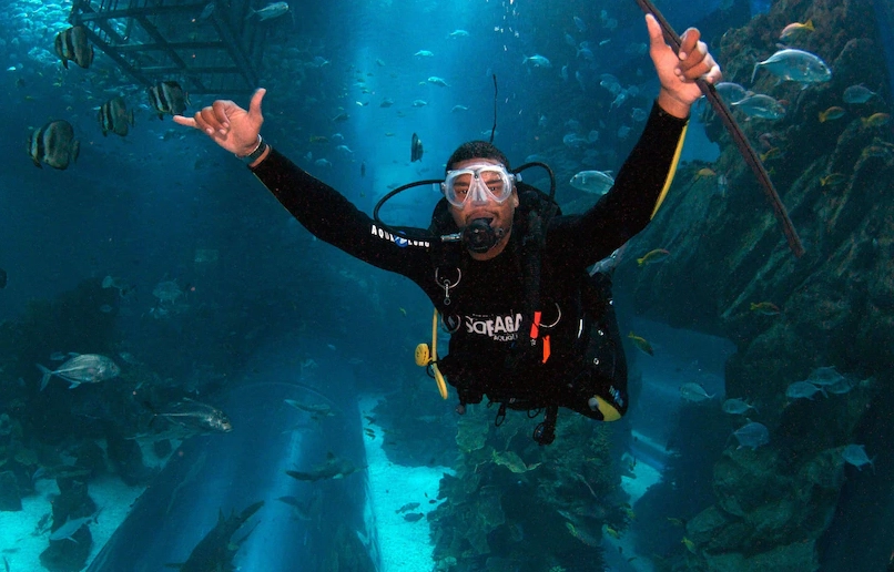 aquarium dive experience
