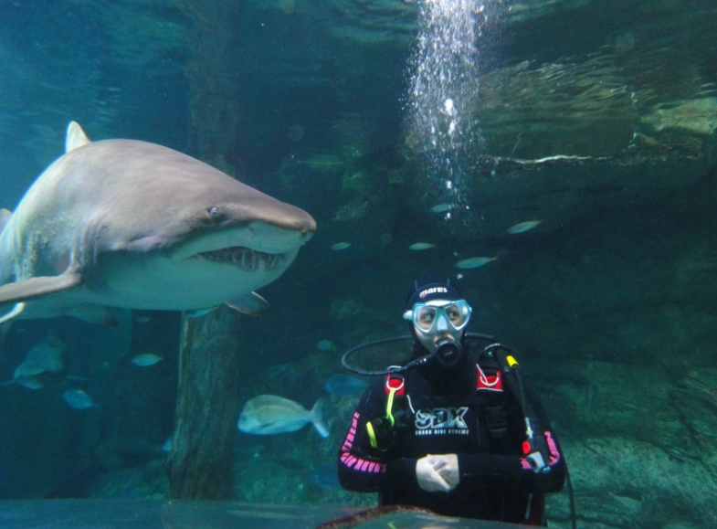aquarium diving