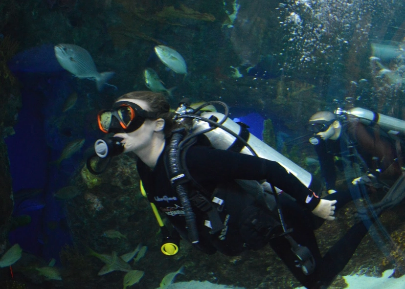 swim with whale sharks