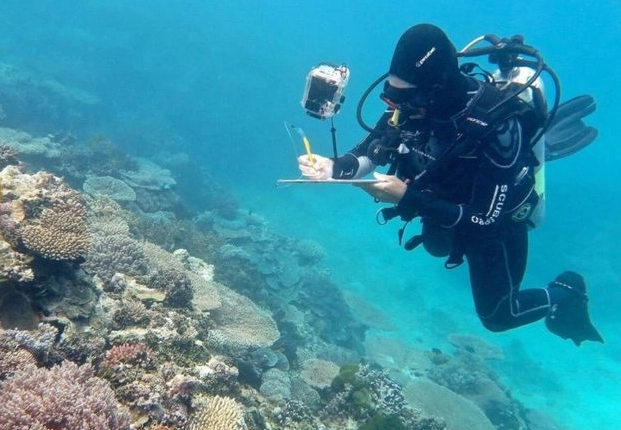 coral bleaching impacts on humans