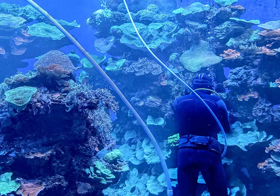 aquarium scuba diving