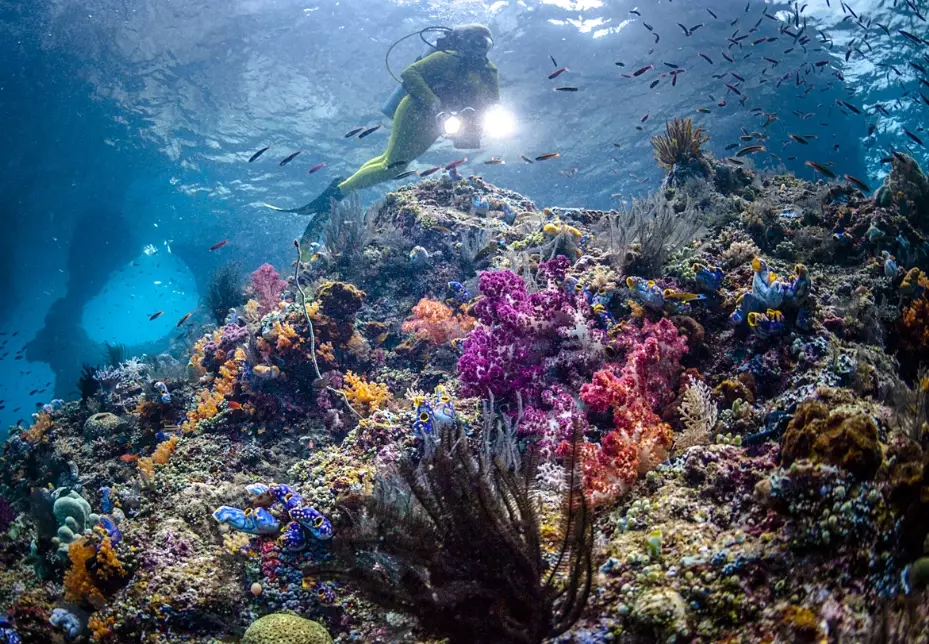 best places to learn to dive