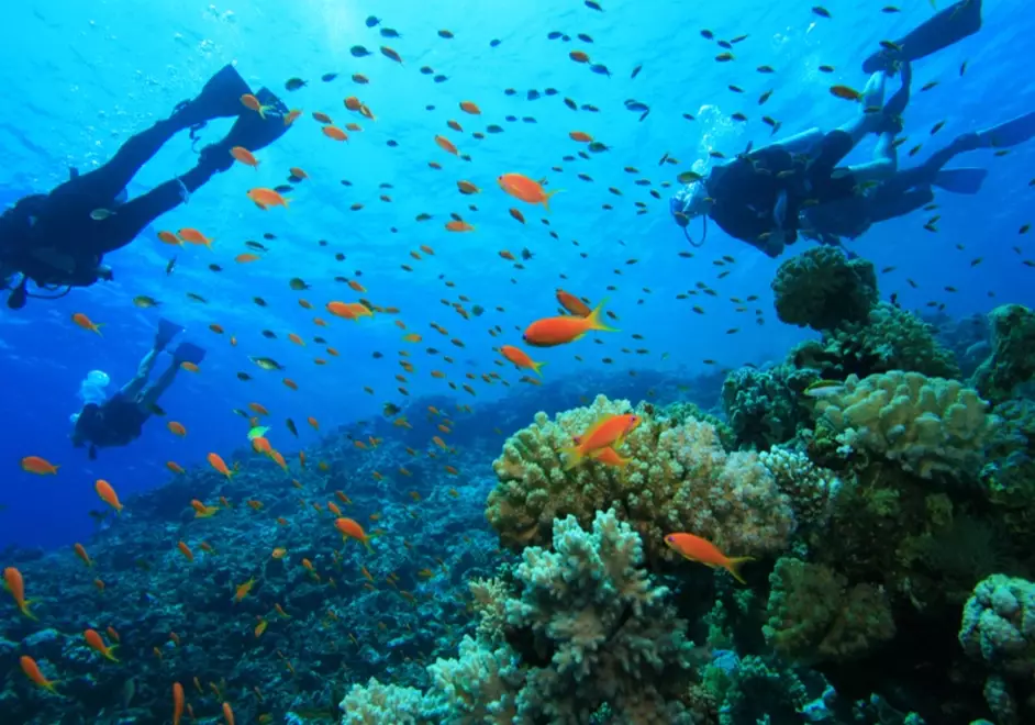 top dive sites in the world