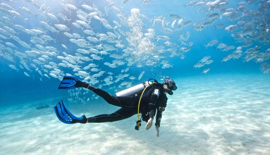 scuba diving Philippines Indonesia