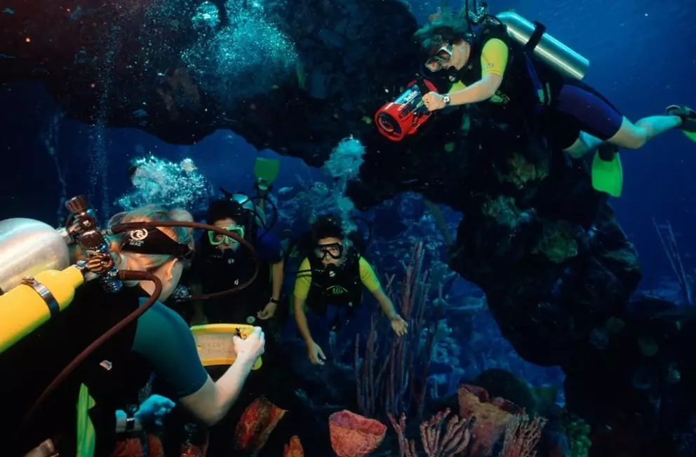 aquarium dive programs