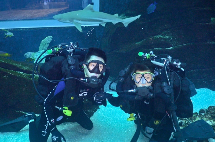 dive with whale sharks Atlanta