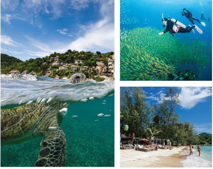 What is the scuba capital of the world?