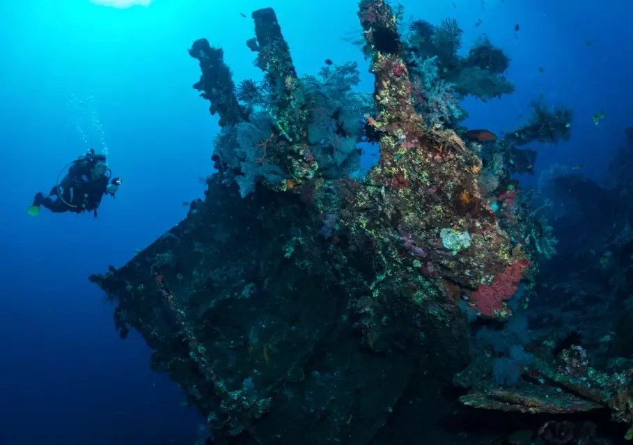 easy scuba diving locations