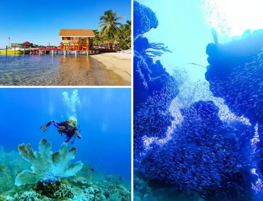 best scuba diving destinations