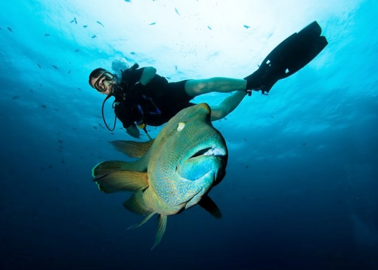 Asia diving destinations