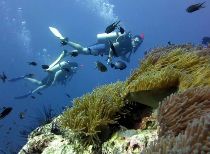 Asia diving destinations