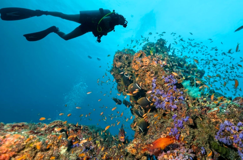 top pacific diving destinations