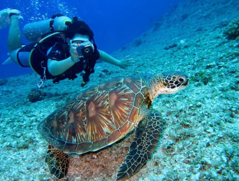 Best scuba diving in Asia