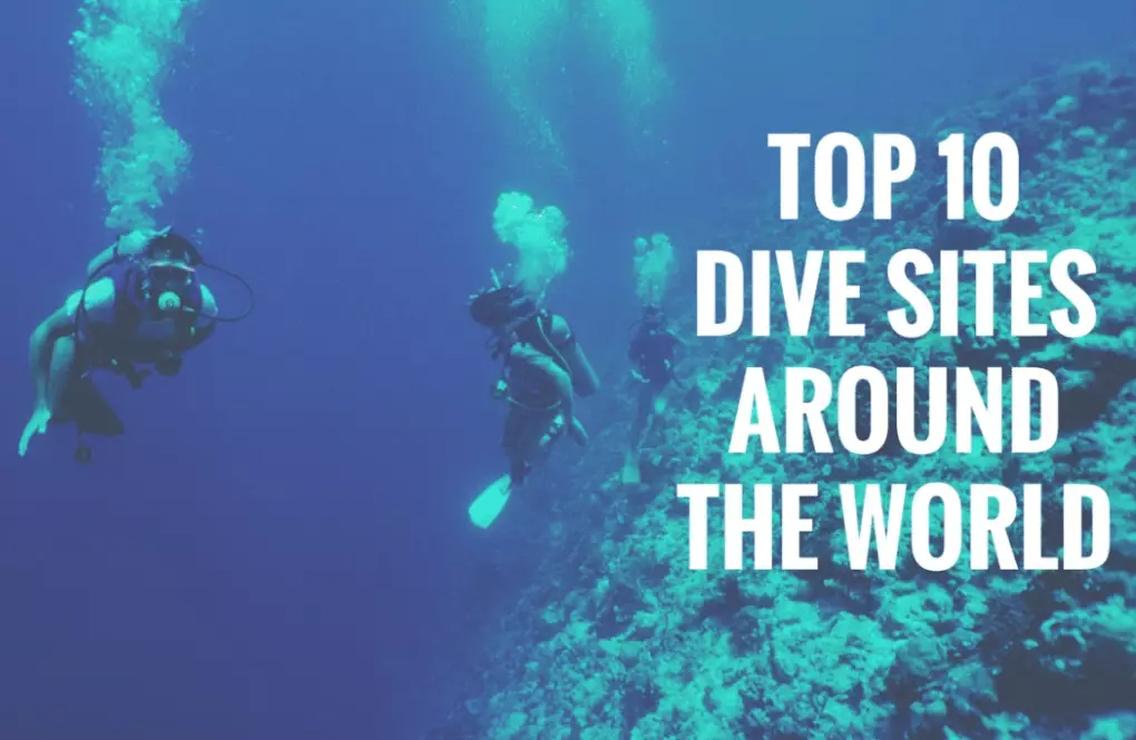 Top 10 best dive sites in the world for beginners