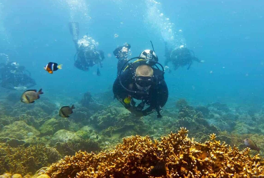 best scuba diving in Asia