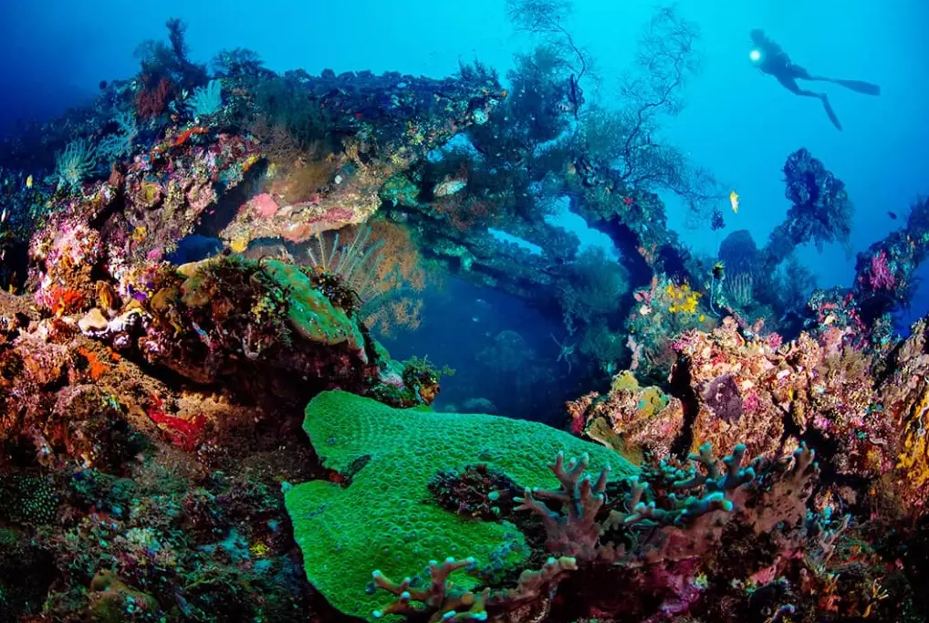 top dive sites worldwide