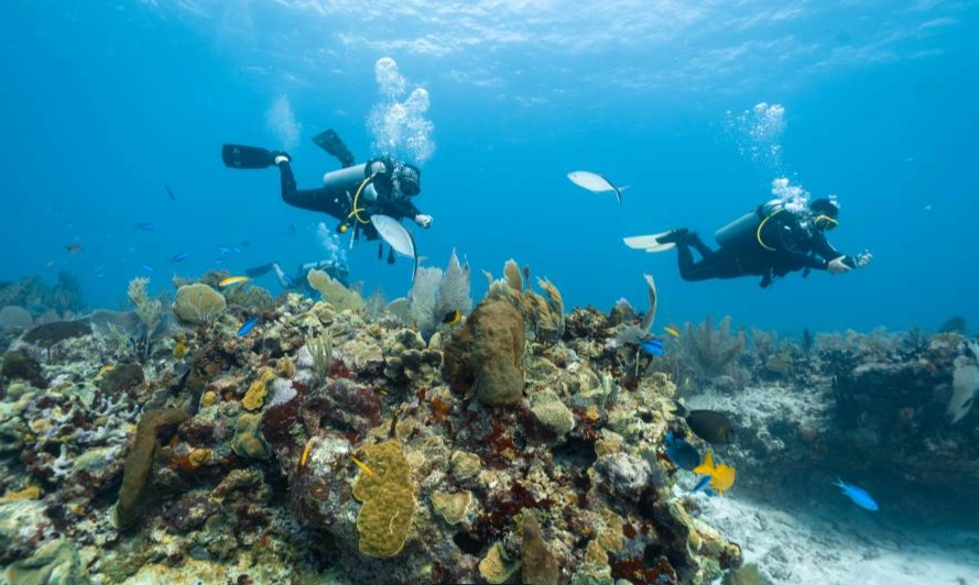 top dive sites in the world