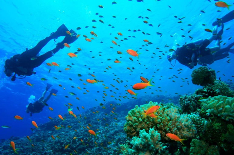 best diving spots pacific