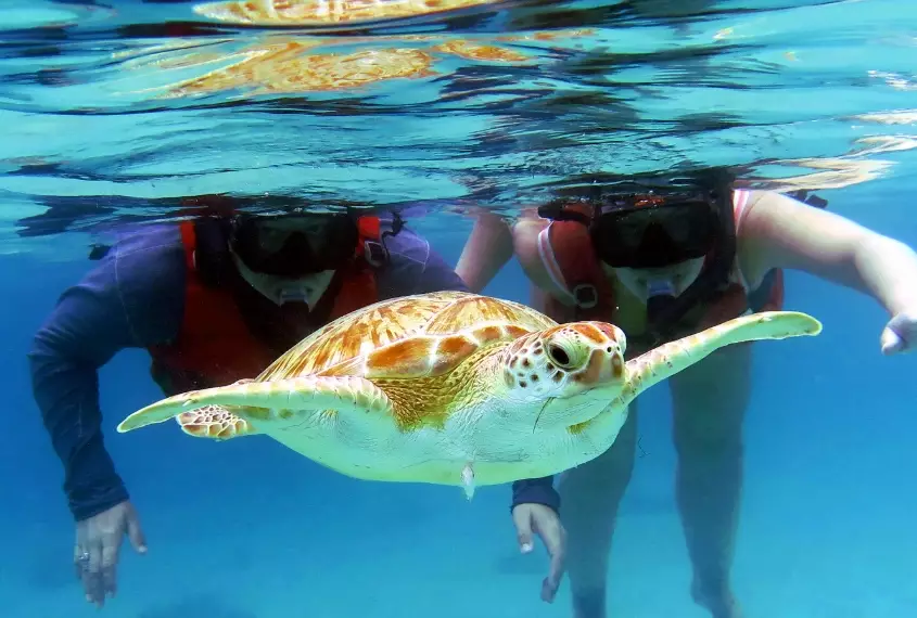 St. Thomas snorkeling rules