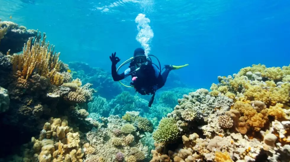 scuba diving Philippines