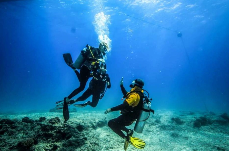 Philippines dive courses for beginners