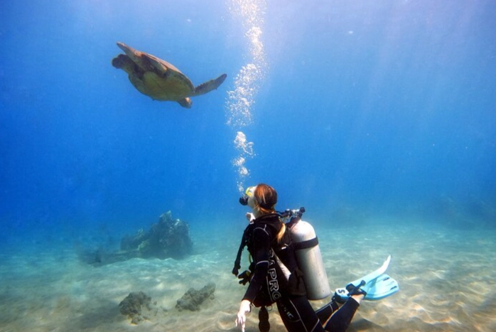 Can I go scuba diving with no experience?