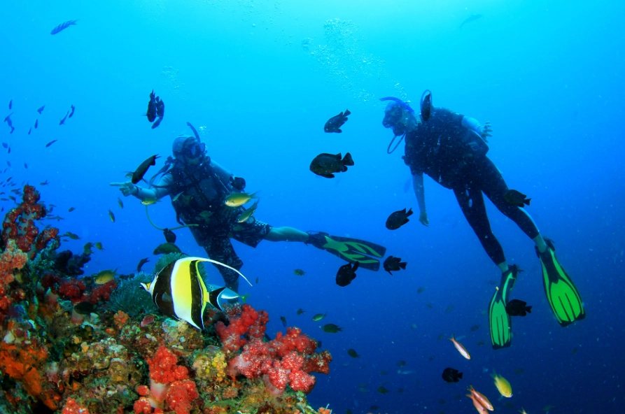 best dive sites for beginners