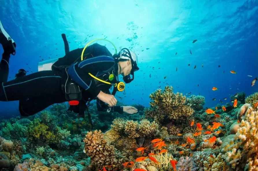 Is the philippines good for scuba diving for beginners
