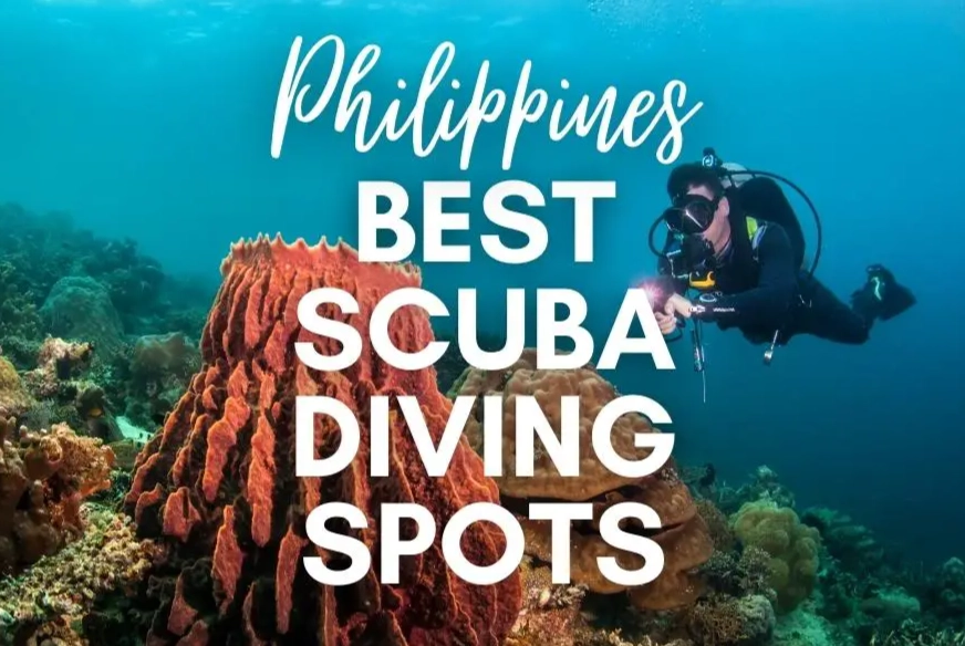 Where is the best place to scuba dive in the Philippines?