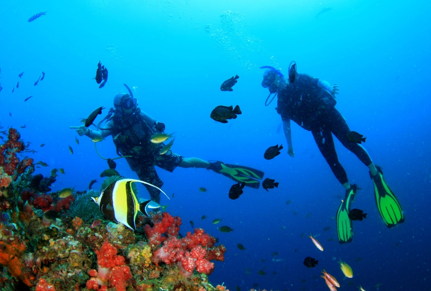 Philippines diving itinerary