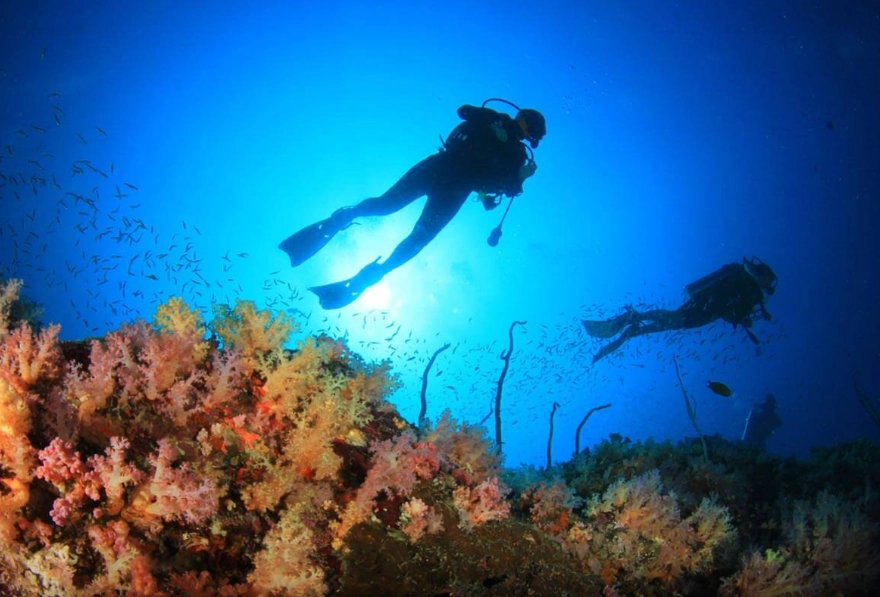 scuba diving Philippines beginners