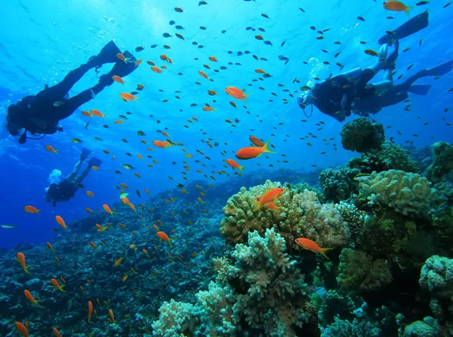 Philippines diving spots