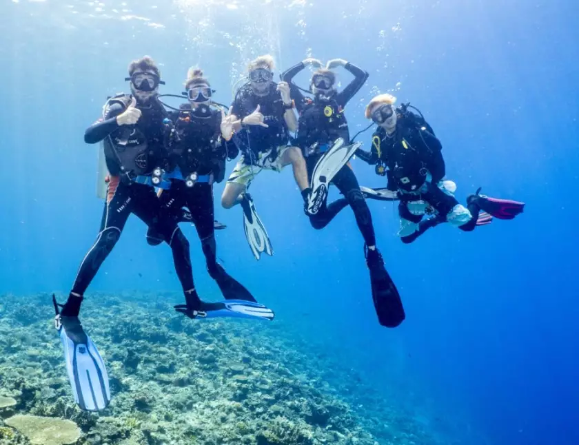 whale shark diving Philippines