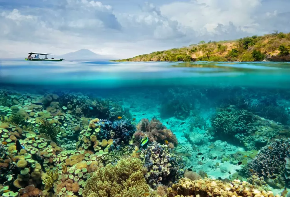 top diving spots Philippines