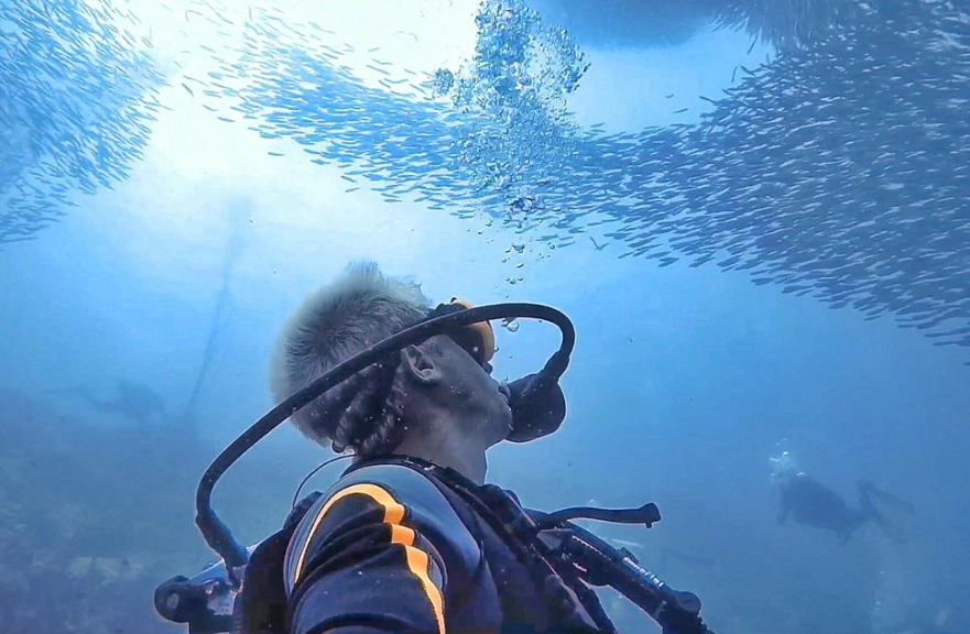 best dive sites Philippines