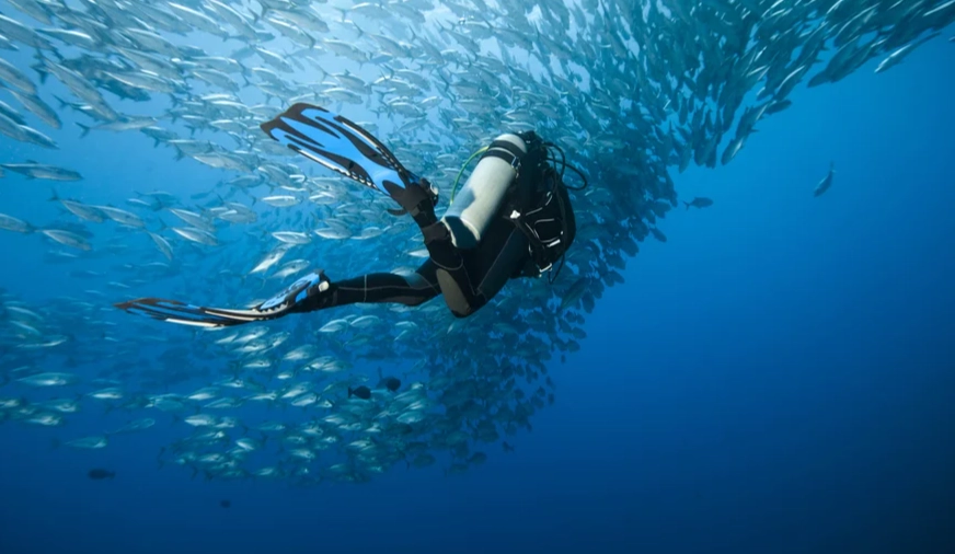 Philippines liveaboard diving