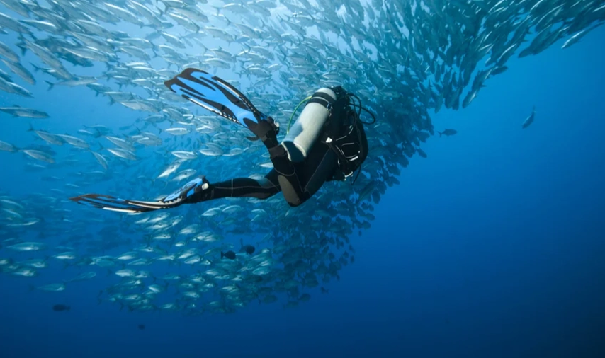 Scuba diving in the Philippines