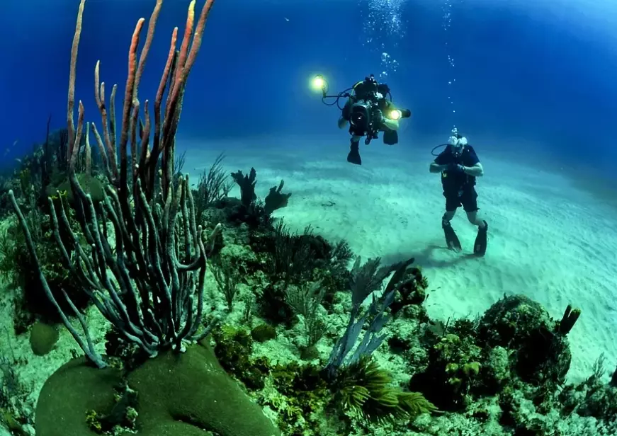 best diving in Europe marine life