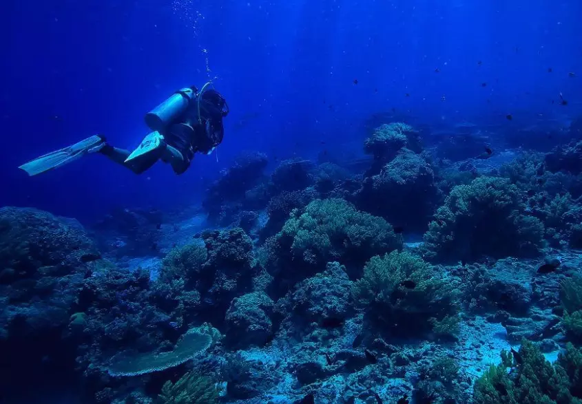 Best place to learn scuba diving in the world