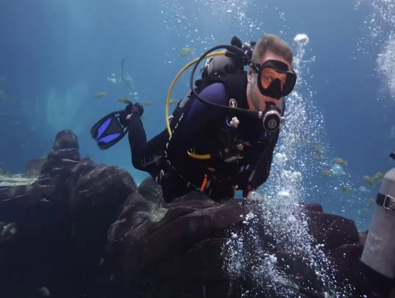 Atlanta aquarium dive experience