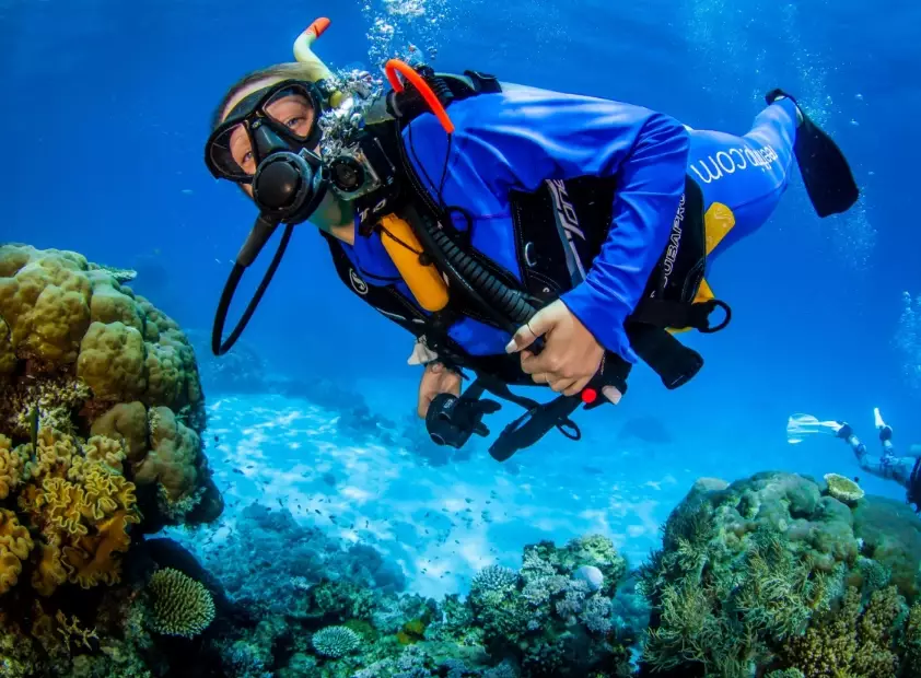 Where is the best place in the world to learn to dive?