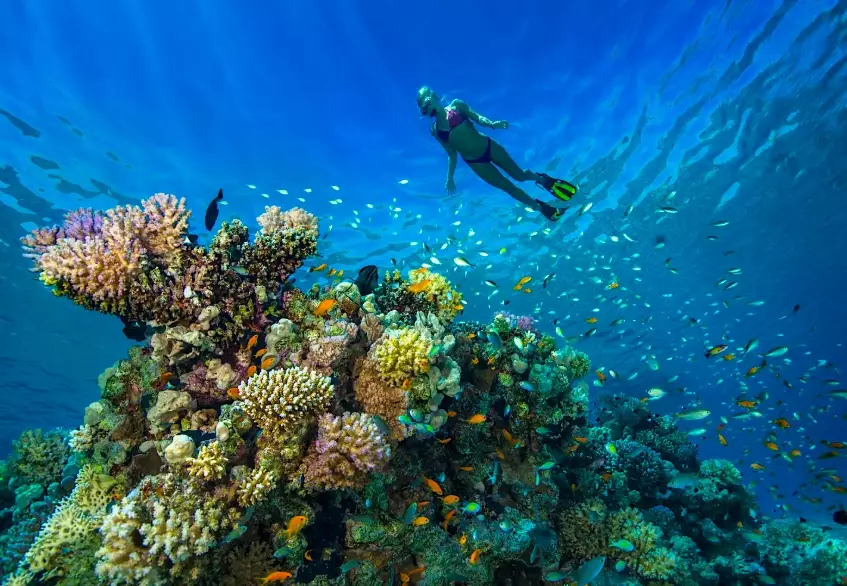 Mediterranean scuba diving spots Mediterranean scuba diving spots