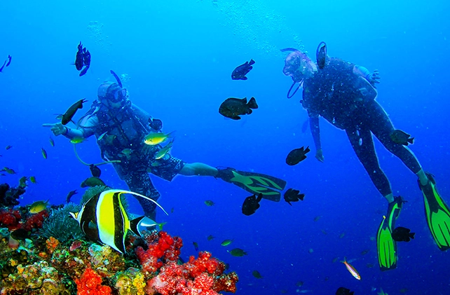 best dive sites in the world
