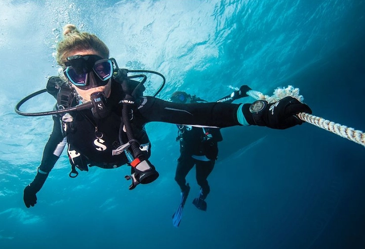 best dive sites for new divers