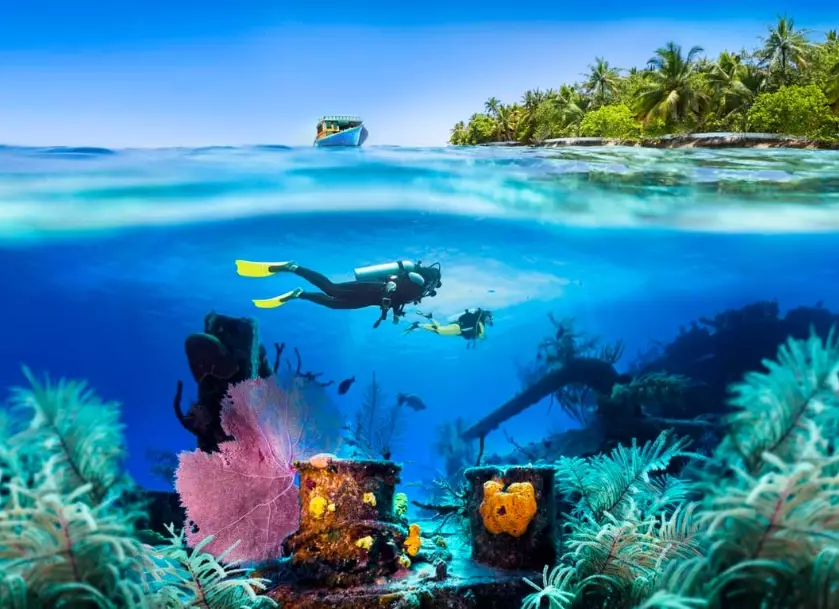 best diving spots in the world